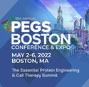 Picture of PEGS Boston - 2022
